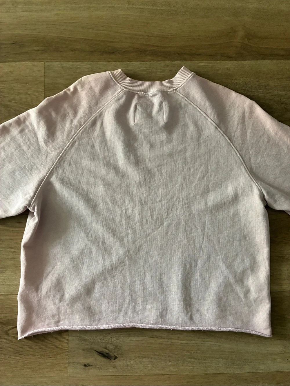 BDG El Paso Cropped Sweatshirt Tee Pink Scorpion Graphic NWOT Size XS/S